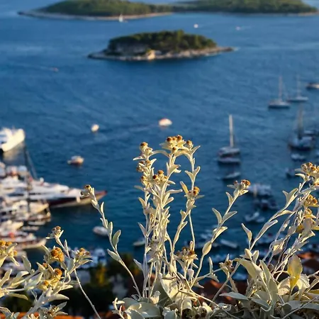 Feelhvar Along Bluelagoon Beach Hvar Town Exterior foto