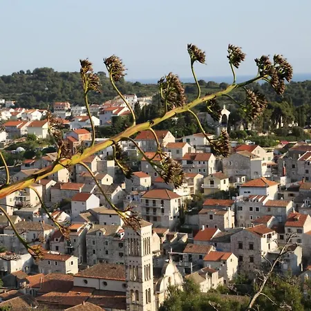 Feelhvar Along Bluelagoon Beach Hvar Town Exterior foto