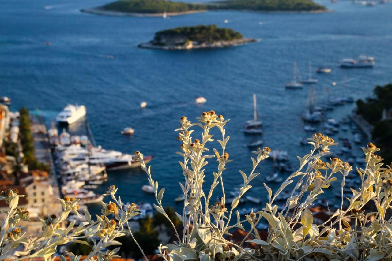 Feelhvar Along Bluelagoon
